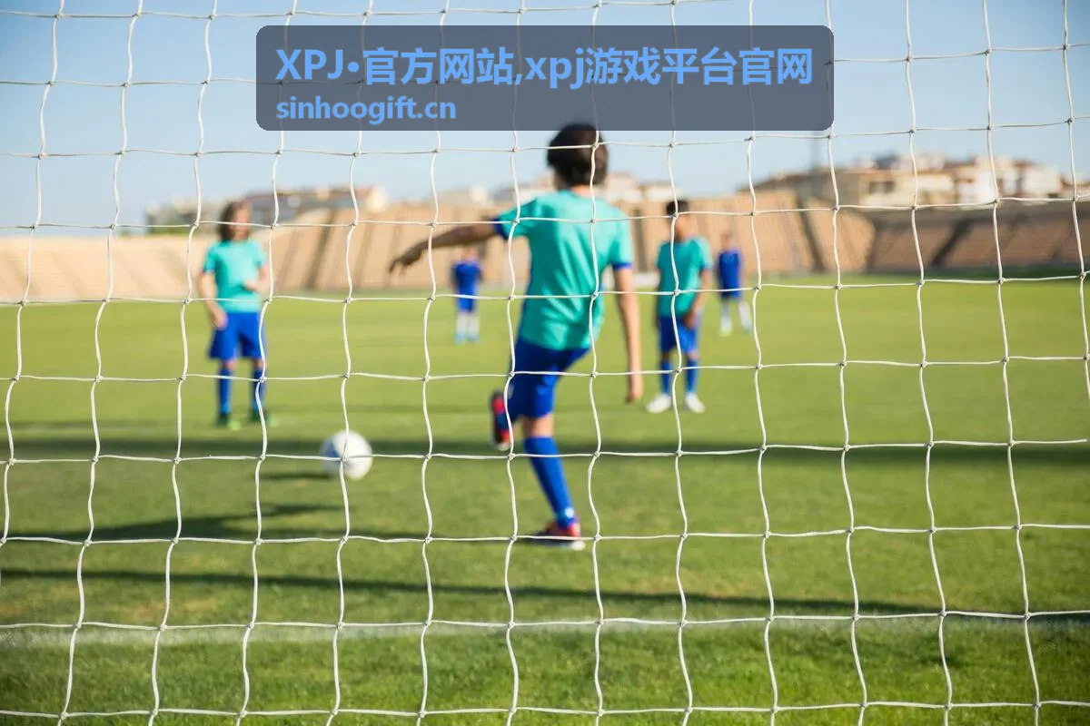 XPJ·官方网站平台说明封面