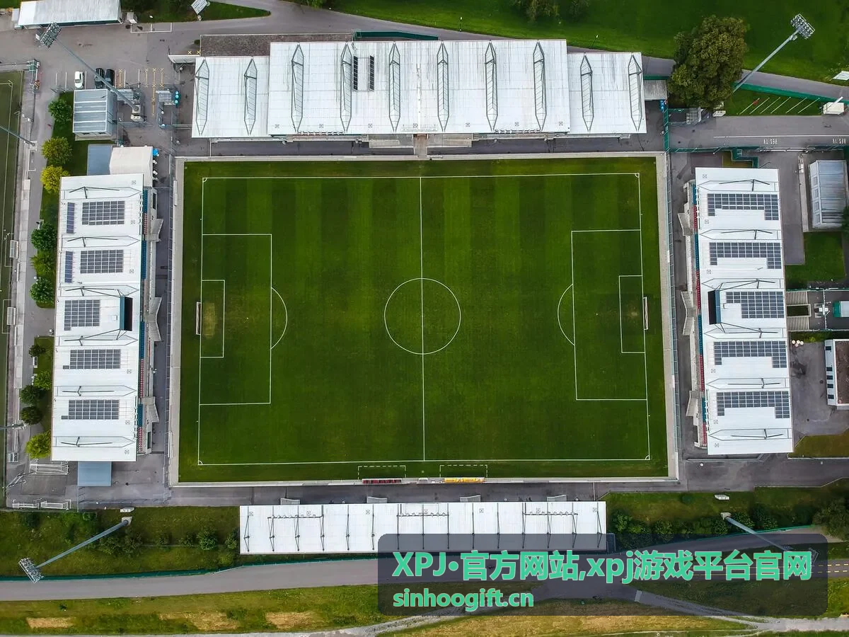 XPJ·官方网站官方指南分类封面